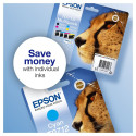 Epson tindipatroon T071240, tsüaan