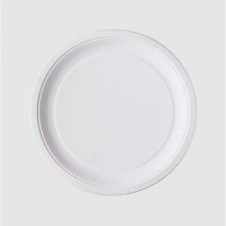 Papptaldrik 22cm valge, 50tk/pk