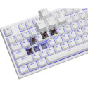 Genesis Thor 404 TKL Kailh Brown Box (US)