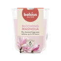 CANDLE SCENTED MAGNOLIA H8CMD7.3CM