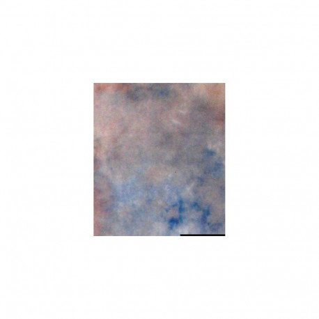 Falcon Eyes Background Cloth S122 2,9x7 m
