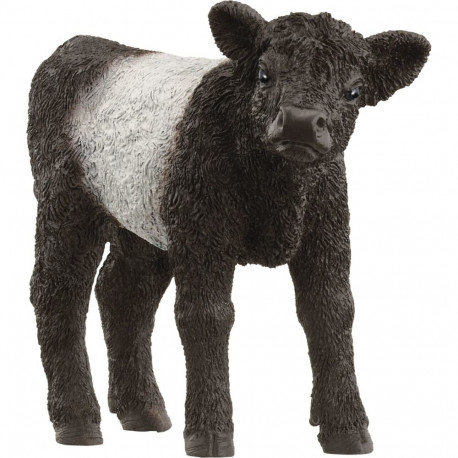 Farm World Galloway Kalb