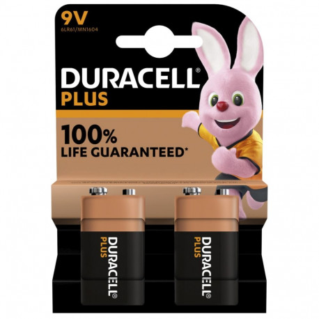 Plus patareid E-Block 9V 2 tk