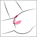 Lovense Lush 3