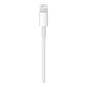 Apple Lightning - USB kaabel 1M jaemüügipakend