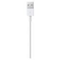 "Apple Lightning - USB Kabel 1M Retail"