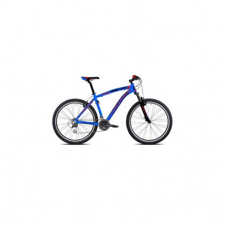 BICYCLE jalgratas CICLO 795 PLUTONE 43, sinine