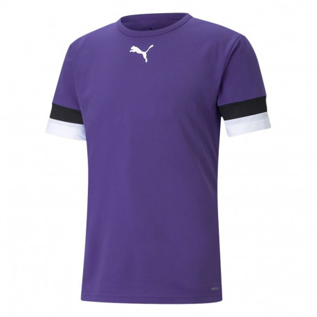 Puma meeste särk teamRISE Jersey 704932 10, lilla