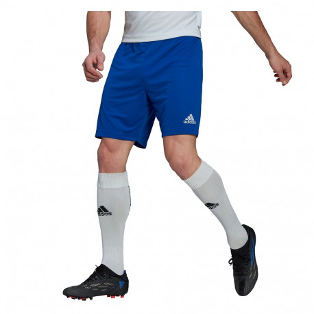 Adidas meeste lühikesed püksid Entrada 22 HG6294, sinised
