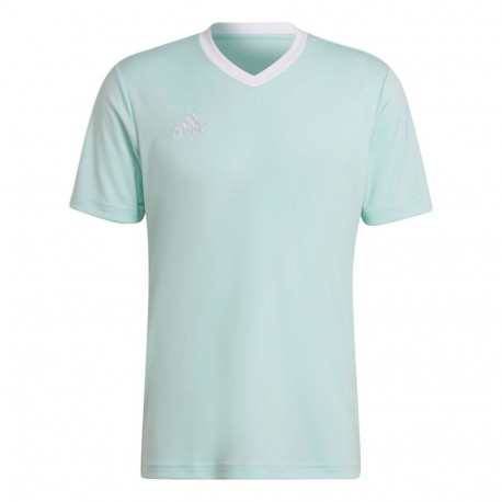 adidas meeste särk Entrada 22 Jersey HC5073, mündiroheline