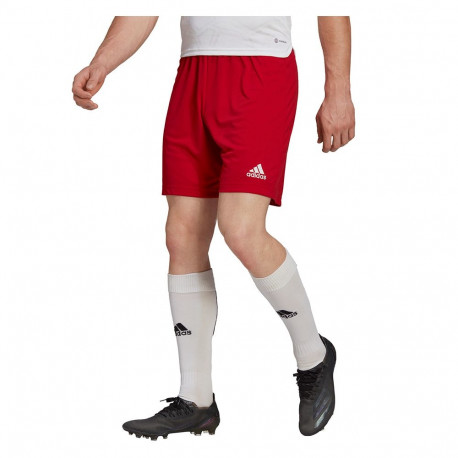 Spodenki męskie adidas Entrada 22 czerwone H61735
