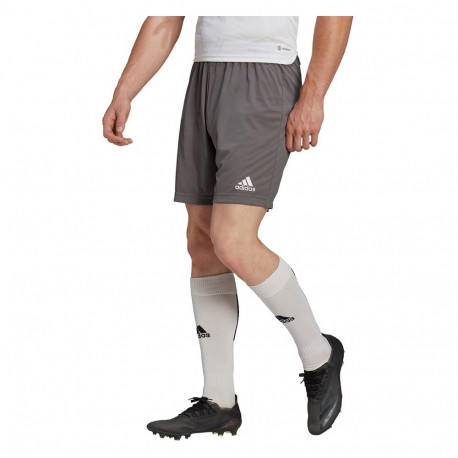 Adidas meeste lühikesed püksid Entrada 22 H57505, hall