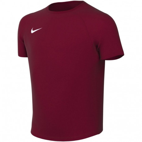 Nike laste särk Dri-Fit Park VIII HV8182 677, veinipunane