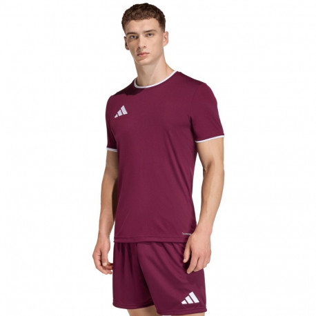 adidas meeste särk Entrada 26 Jersey JZ2507, bordoopunane