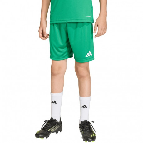 Spodenki dla dzieci adidas Entrada 26 zielone JZ6530