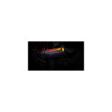 AVerMedia Live Gamer DUO video capturing device Internal PCIe