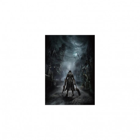 Sony Bloodborne, PS4 Standard PlayStation 4