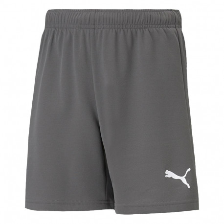 Puma laste lühikesed püksid teamRISE Short Jr 704943 13, hall