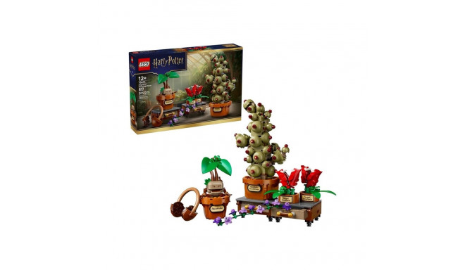 Constructor taimekomplekt 76474 Hogwarts