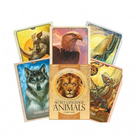 Blue Angel The Secret Language Of Animals Oracle Cards