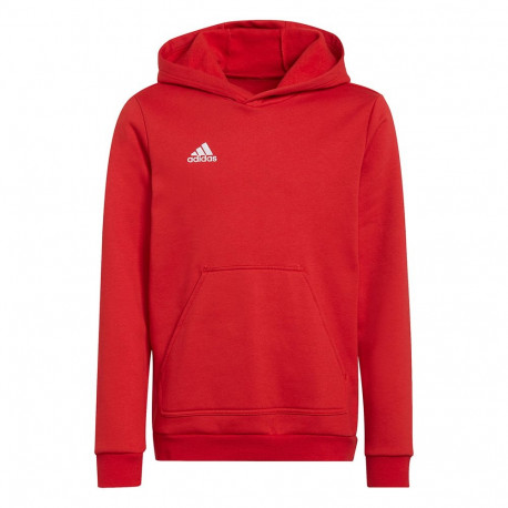 Adidas laste pusa Entrada 22 Hoody H57566, punane