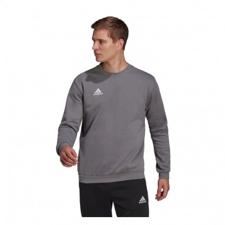 Adidas meeste pusa Entrada 22 Sweat Top H57479, hall