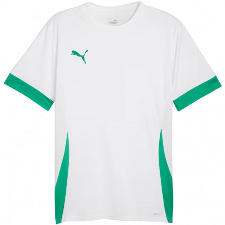 Puma meeste särk teamGoal Matchday Jersey 705747 15, valge-roheline