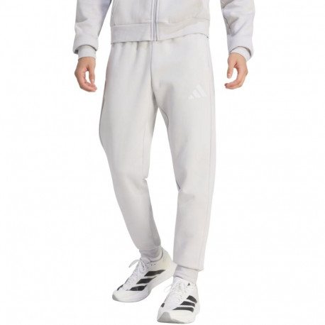 Spodnie męskie adidas Entrada 26 Sweat szare JZ9139