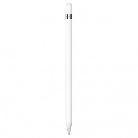 Apple puutepliiats (1st Gen) iPad 10,2" (7.,8.,9 Gen.) ja iPad Air 10,9" (3.Gen)