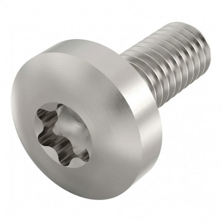 "SCHROFF Linsenkopfschraube mit Torx - TORX-LINSKOSCHR M4X10 100ST"