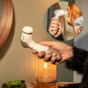 Cecotec Facial cleansing brush | FaceCare TotalClean | Facial brush | White