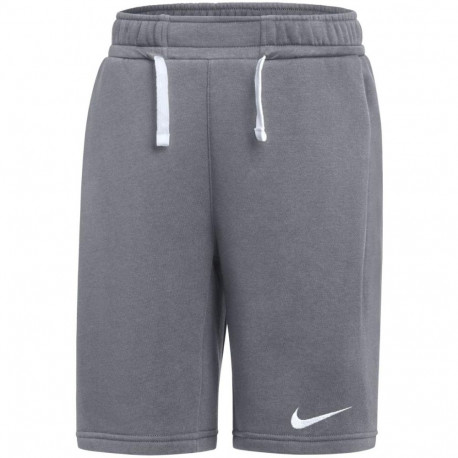 Nike laste lühikesed püksid Park 26 Fleece IB1242 071, hallid