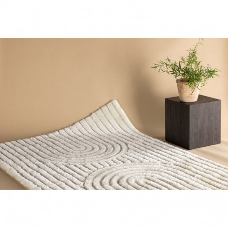 Vaip NIKLAS 230x160cm, valge