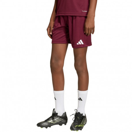 adidas laste lühikesed püksid Entrada 26 JZ6527, bordoopunane