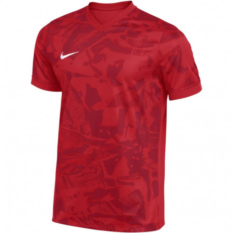 Nike meeste T-särk Dri-Fit Precision VII FZ9332 657, punane