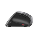 Input Device - Cherry Mouse MW 4500 Wireless, 1200 DPI, 2 Thumb Buttons, Black