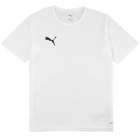 Puma laste särk teamRISE Matchday 706284 04, valge