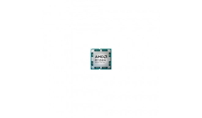 AMD protsessor Ryzen 9 9900X tray