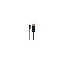 Cable USB-C for DisplayPort 4K 60Hz 2m