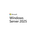 Microsoft Windows Server 2025 1 license(s)