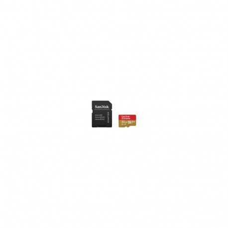 SanDisk microSDHC ActionSC  32GB 2x Extr.100MB SDSQXAF-032G-GN6AT