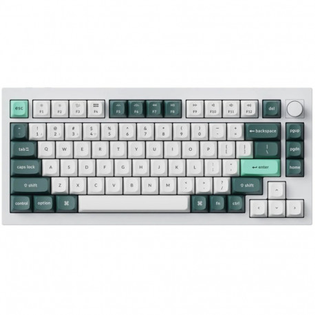 Keychron klaviatuuri korpus Q1 HE 75% magnetlülititega, valge