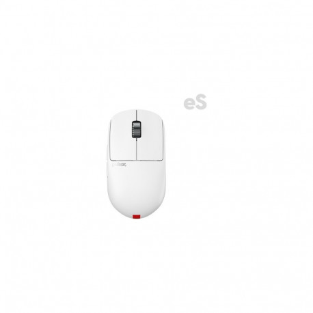 MOUSE USB OPTICAL WRL X2H/MEDIUM WHITE PX2HES22 PULSAR