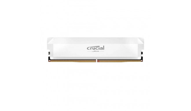 Memory DDR5 Pro OC 16/6400(1*16GB) CL32 white