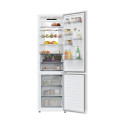 Candy ECN4CQTEW206