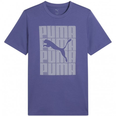 Puma meeste t-särk Graphics Wording Tee 684825 46, sinine
