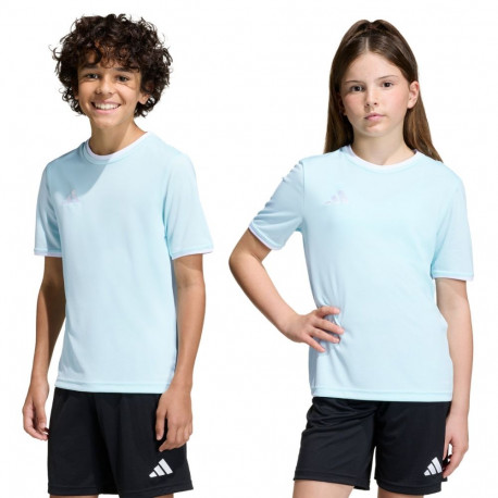 Adidas laste särk Entrada 26 Jersey KE9844, helesinine