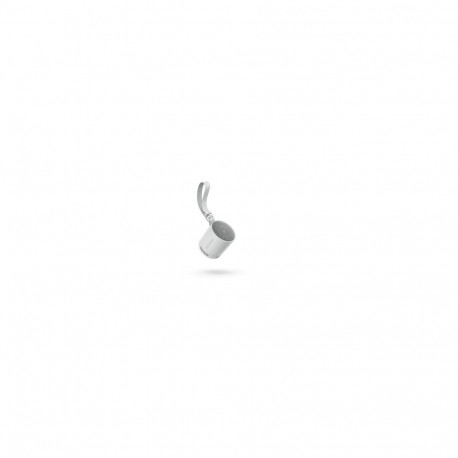 Sony bluetooth-kõlar SRS-XB100H, hall