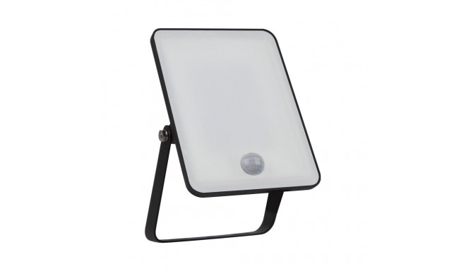 LED välivalgusti ESS30W2850LM4000K IP65 SEN