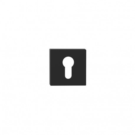 CYLINDER ESCUTCHEON TOPAZ SUPER BLACK PV